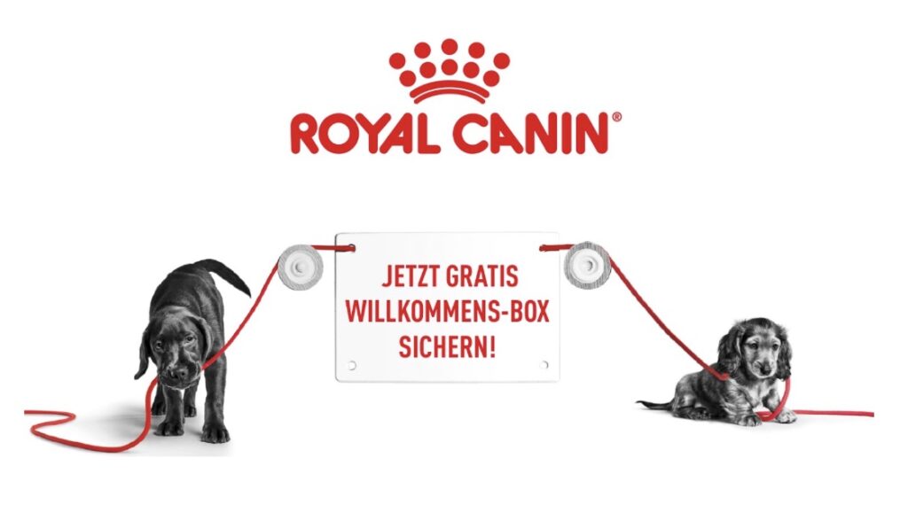 Royal canin gratis welpenbox - Schnäppchengans 